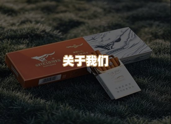 关于云歌烟网